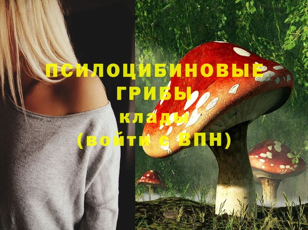 бошки Белоозёрский