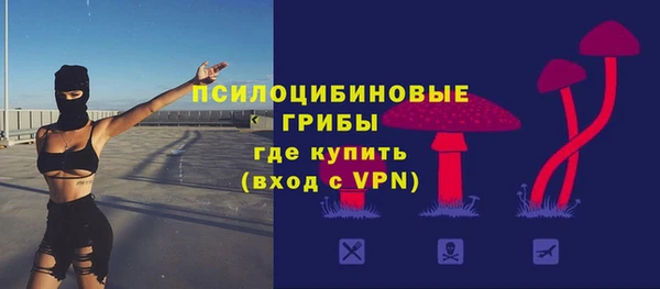 марки lsd Белокуриха